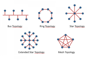 physical topology types